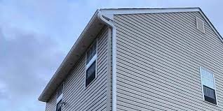 Best Custom Siding Design  in Waterloo, NE